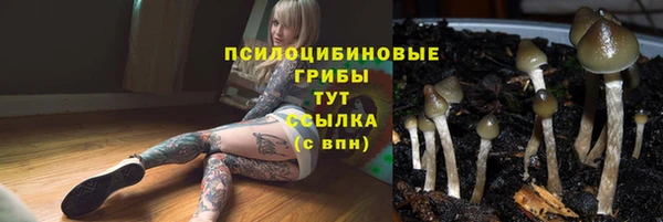 мдма Зеленодольск
